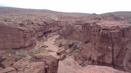 Caminanndo por un lugar testigo de mas de 140 millones de años de historia natural